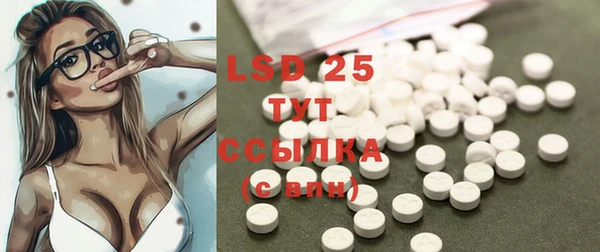 PSILOCYBIN Медвежьегорск