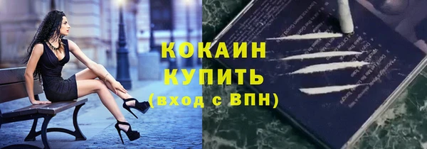 PSILOCYBIN Медвежьегорск