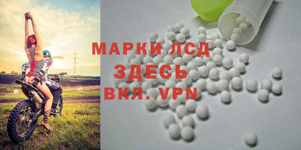 PSILOCYBIN Медвежьегорск