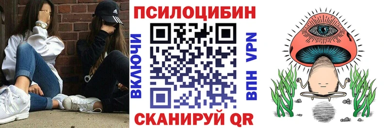 Купить где  Киржач  Галлюциногенные грибы мухоморы 